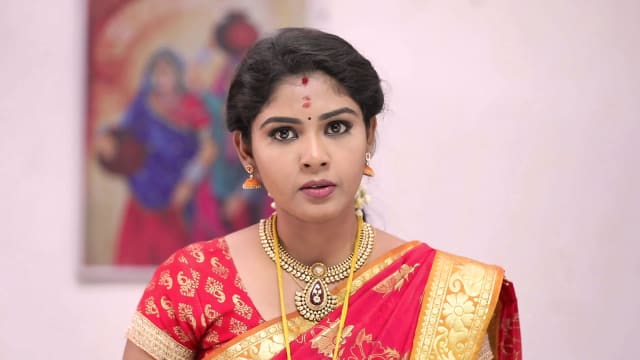 Watch Pandian Stores TV Serial Episode 61 - Meena Creates a Scene Full ...