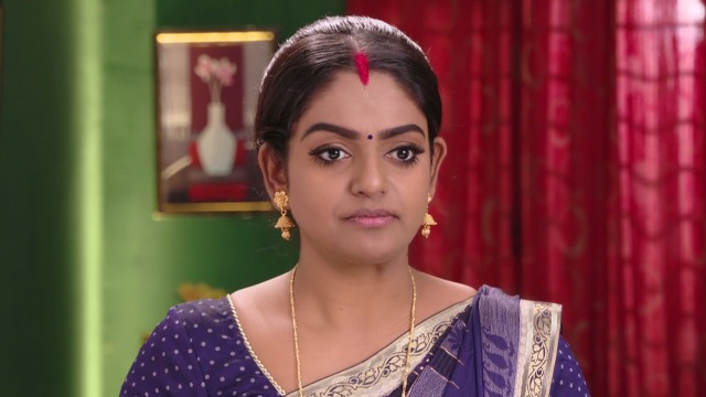 Karthika Deepam - Watch Episode 909 - Deepa Is Worried on Disney+ Hotstar