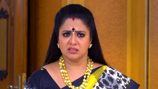 Watch Seetha Kalyanam Full Episode 150 Online in HD on Hotstar CA