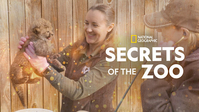 Secrets of the Zoo - Disney+ Hotstar