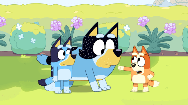 Watch Bluey Season 3 Episode 11 on Disney+ Hotstar