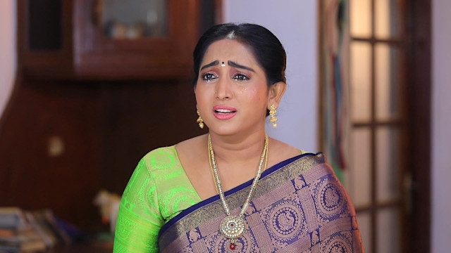 Watch Pandian Stores 2 Full Episode 1342 Online In HD On Hotstar CA