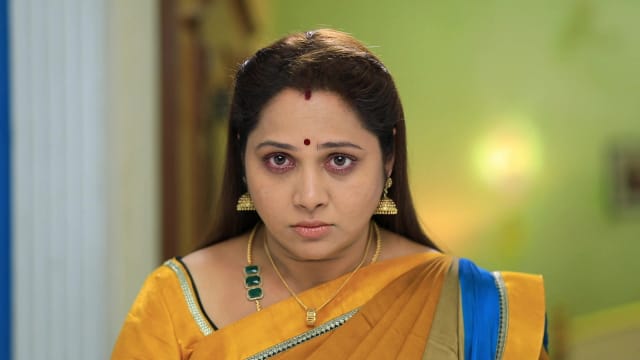 Watch Mouna Raagam 2 Full Episode 726 Online in HD on Hotstar CA