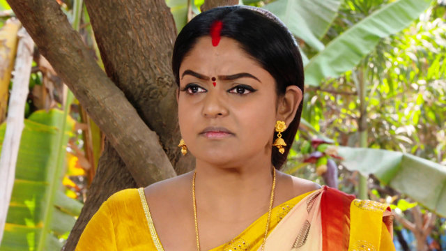 Karthika Deepam - Watch Episode 743 - Deepa Gets Shocked on Disney+ Hotstar