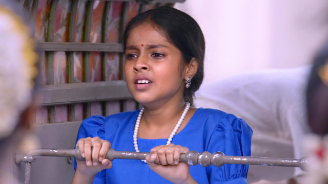 Watch Velammal Full Episode 21 Online in HD on Hotstar UK