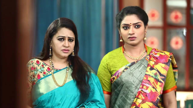 Watch Kalyanamam Kalyanam Full Episode 293 Online in HD on Hotstar UK