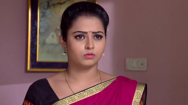 Marali Bandhalu Seethe - Watch Episode 256 - Seeta to Handle Prabhakar ...