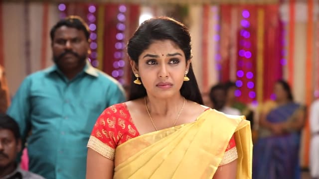 Watch Pandian Stores 2 Full Episode 53 Online In HD On Hotstar US