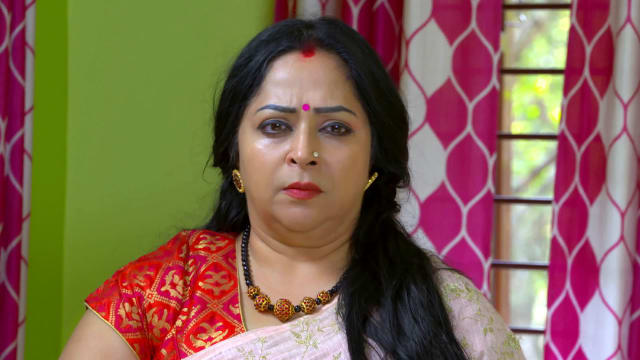 Vanambadi - Watch Episode 344 - Rukmini's Shocking Revelation on ...