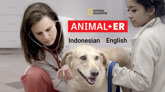 Animal Er Docudrama Tv Series Nonton Semua Episode Terbaru Online Di Disney Hotstar