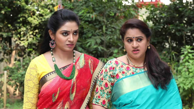 Watch Kalyanamam Kalyanam Full Episode 222 Online in HD on Hotstar CA