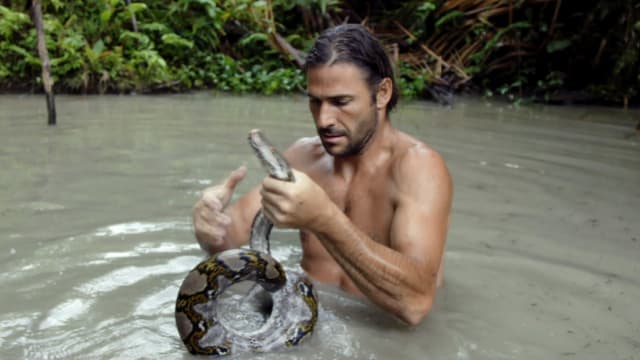 Watch Primal Survivor Season 5 Episode 1 on Disney+ Hotstar