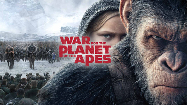 War for the Planet of the Apes - Disney+ Hotstar