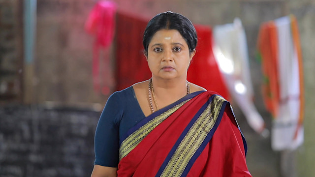 Paavam Ganesan - Watch Episode 433 - Sornam Is Anxious on Hotstar