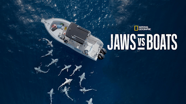 Jaws Vs Boats Trailer Disney Hotstar