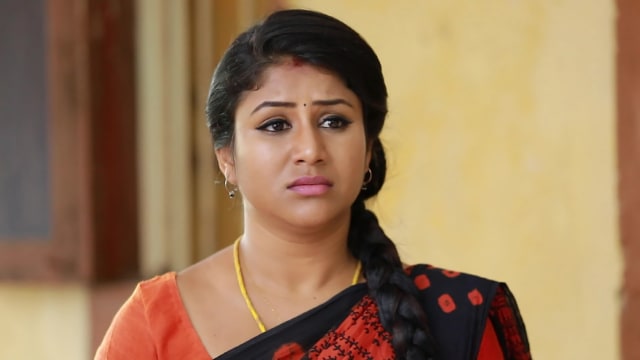 Watch Raja Rani TV Serial Episode 385 - Semba to Help Kayal Full ...