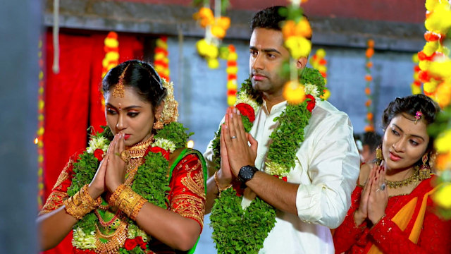 Amma Ariyathe Watch Episode Aleena Arjunan S Wedding On