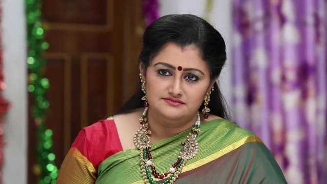 Pagal Nilavu - Watch Episode 479 - Malar Challenges Sathya on Disney+ ...