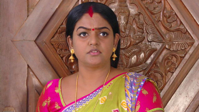 Karthika Deepam - Watch Episode 759 - Karthik Visits Deepa on Disney+ ...