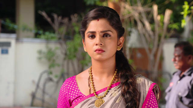 Krishnaveni Serial Lasopaits