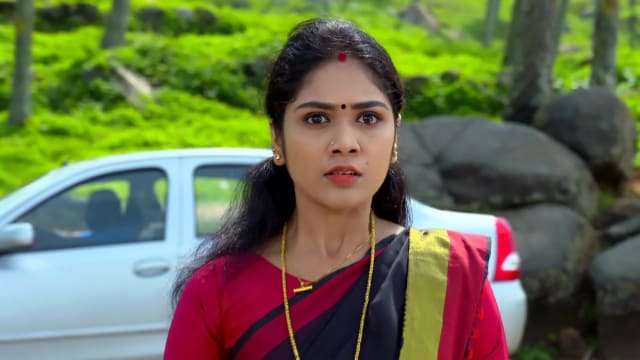 Watch Karuthamuthu Full Episode 236 Online in HD on Hotstar CA