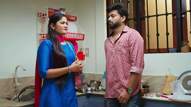 Bharathidasan Colony - Watch Episode 54 - Sudar Visits Sreethar on ...