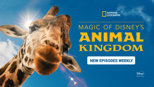 Magic of Disney's Animal Kingdom, Documentary TV Series - Nonton Semua