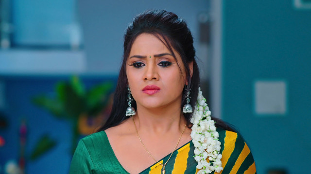 Watch Karthika Deepam Full Episode 1316 Online in HD on Hotstar UK