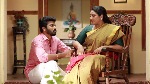 Watch Raja Rani 2 Season 2 Episode 258 on Disney+ Hotstar
