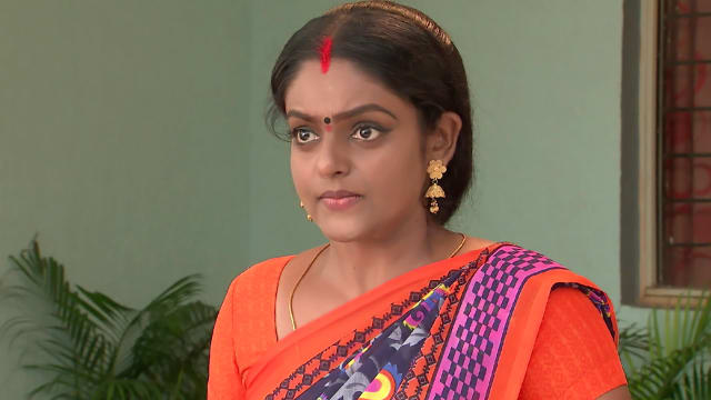 Karthika Deepam - Watch Episode 313 - Bad Time Chases Deepa on Disney+ ...