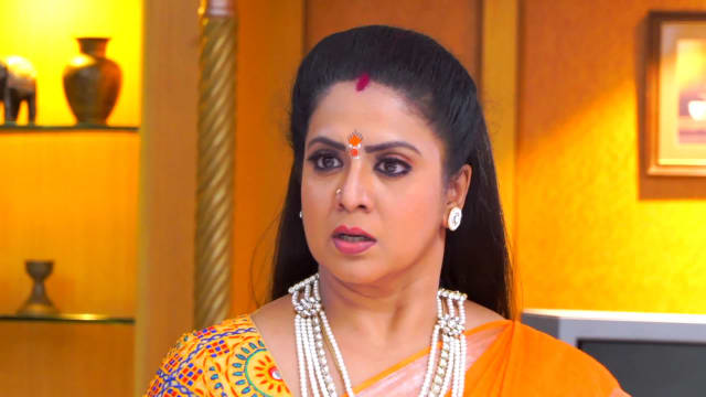 Watch Seetha Kalyanam TV Serial Episode 146 - Seetha Confronts ...