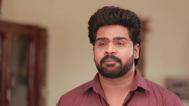 Watch Pandian Stores 2 Full Episode 65 Online In HD On Hotstar CA