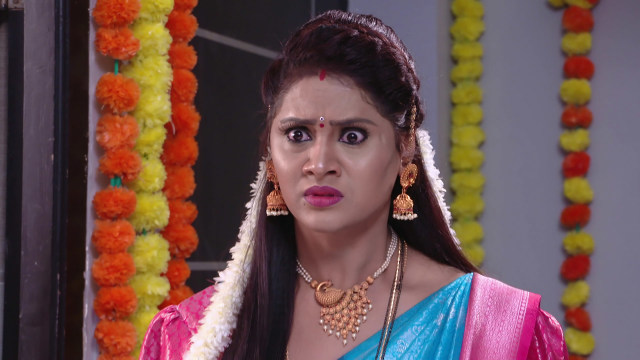 manasichi-choodu-watch-episode-238-bhanumathi-learns-the-truth-on