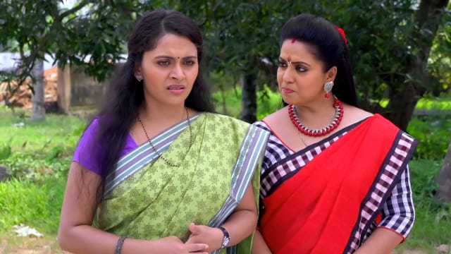 Seetha Kalyanam - Watch Episode 50 - Rajeshwari Threatens Seetha on ...