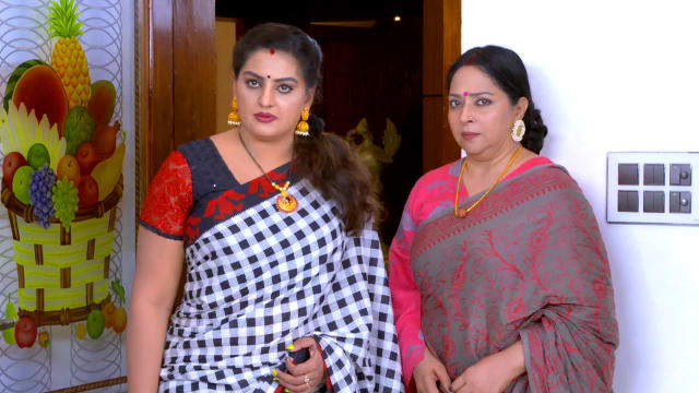 Watch Vanambadi Full Episode 436 Online in HD on Hotstar US