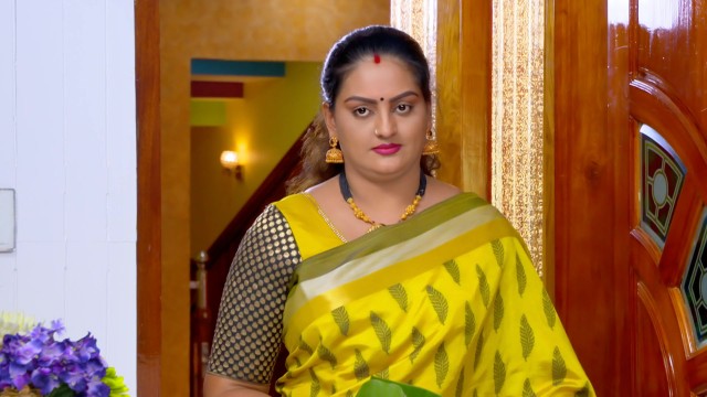 Vanambadi - Watch Episode 564 - Padmini Talks to Thamburu ...