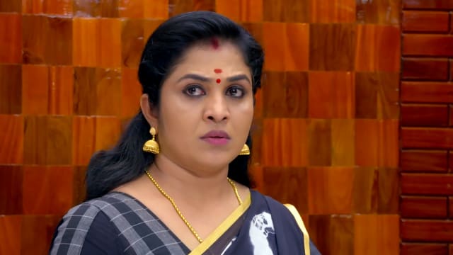 Vanambadi - Watch Episode 192 - Nirmala Follows Padmini's Orders on ...