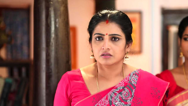 Watch Pandian Stores Full Episode 223 Online In HD On Hotstar CA