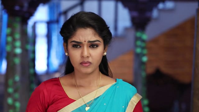 Watch Pandian Stores TV Serial Episode 45 - Meena Gets Emotional Full ...