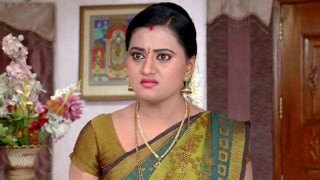 Watch Kumkuma Puvvu Full Episode 356 Online in HD on Hotstar US