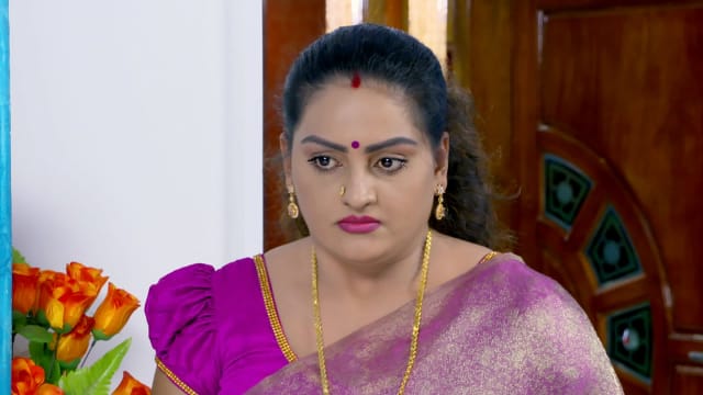 Watch Vanambadi Full Episode 393 Online in HD on Hotstar CA