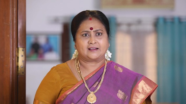 Baakiyalakshmi - Watch Episode 736 - Eshwari Forbids Ezhil, Amritha on ...