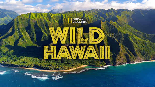 Wild Hawaii, Documentary TV Series - Nonton Semua Episode Terbaru ...