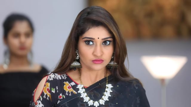 Watch Aranmanai Kili Full Episode 13 Online in HD on Hotstar US