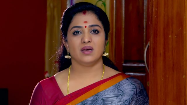 Vanambadi - Watch Episode 188 - Nirmala Learns a Shocking Truth on ...