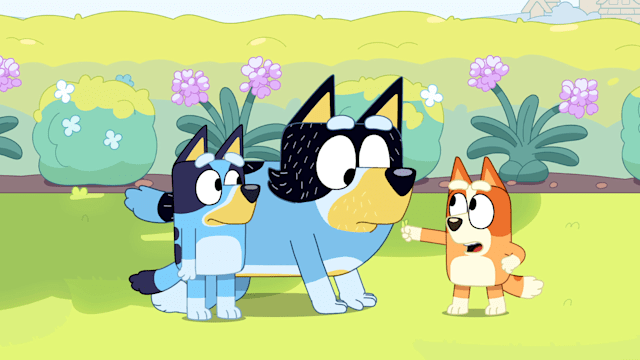 Nonton Bluey Season 3 Episode 11 - Sheepdog di Disney+ Hotstar