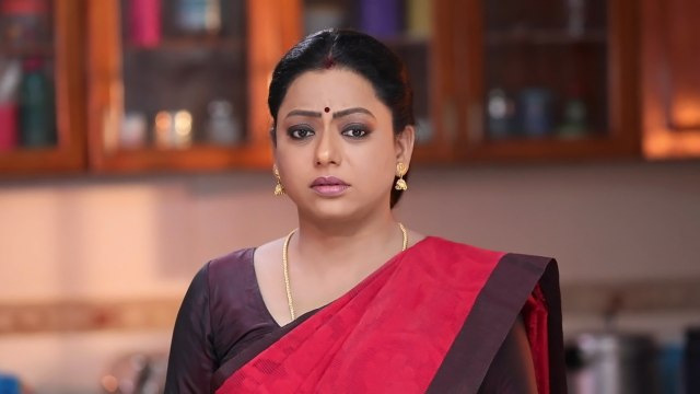 Baakiyalakshmi - Watch Episode 48 - Baakiyalakshmi in a Tight Spot on ...