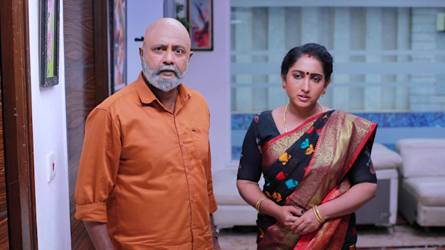 Watch Kaatrukkenna Veli Full Episode 736 Online In Hd On Hotstar Ca