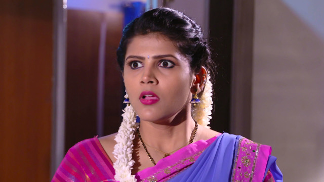 Karthika Deepam - Watch Episode 690 - Aditya Shocking Revelation on