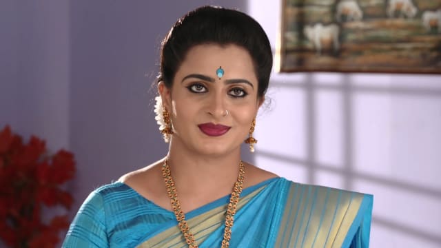 Karthika Deepam - Watch Episode 382 - Soundarya Gives a Good News on  Disney+ Hotstar